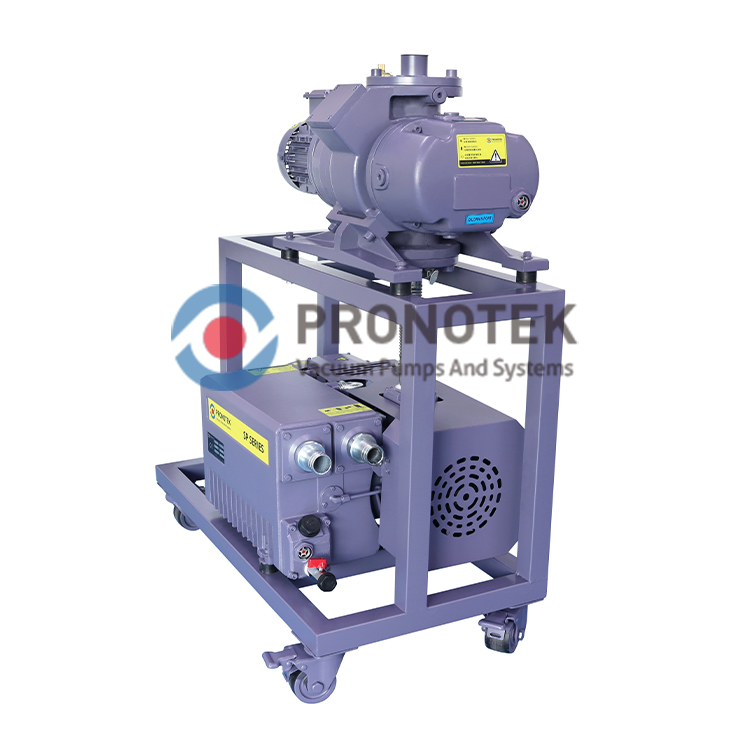 Pronotek PNK VS MR600-DP275 roots pump system