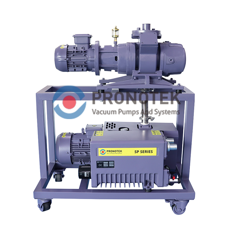 Pronotek PNK VS MR300-DP60 roots pump system